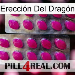 Erección Del Dragón 10